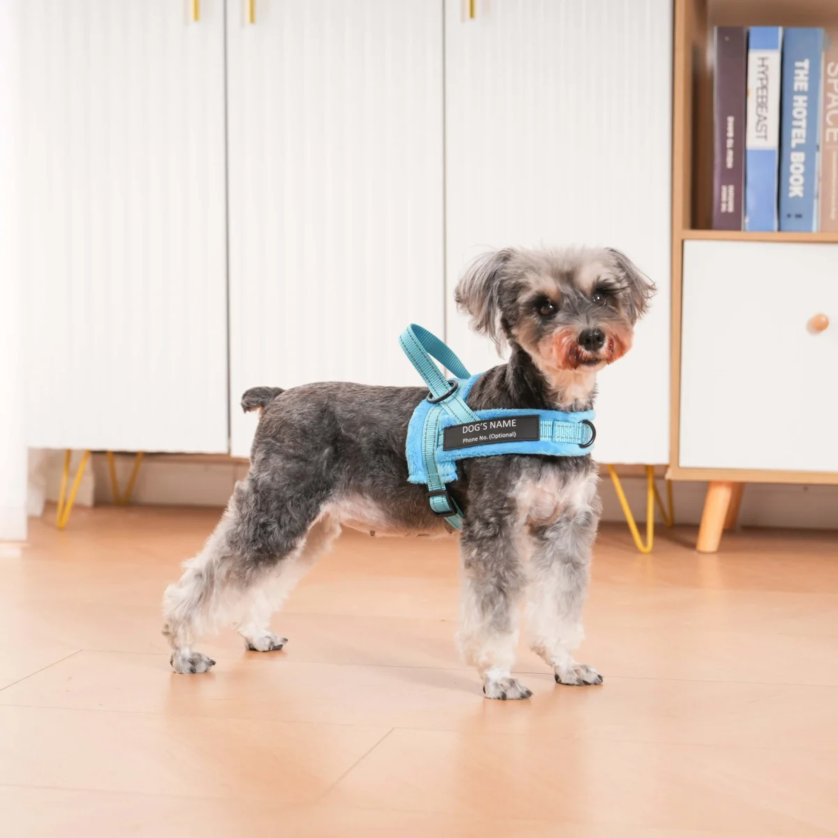 Dog control pro 2.0 med antidrag - Bild 6