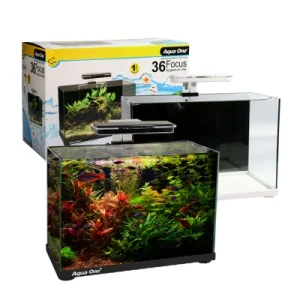 Aqua One Focus All In One Aquarium 36 50x25x34cm 36L