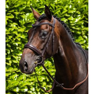 PE Verdura Anatomic Snaffle Bridle