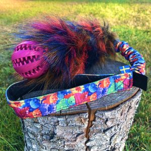 Hairy Wild Cat