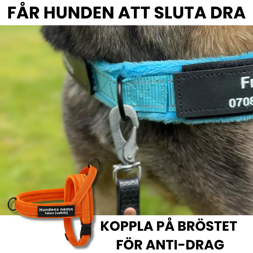 Dog control pro 2.0 med antidrag - Bild 3