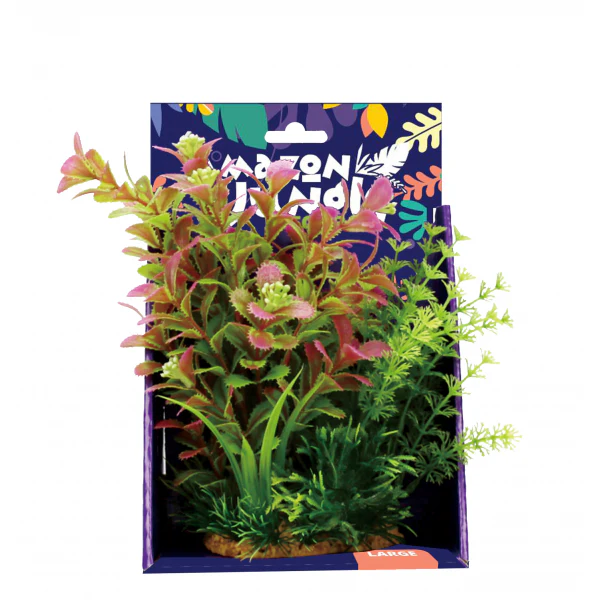 Amazon Jungle Mixed Ludwigia Display 20cm - Bild 2