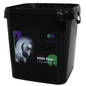 MSM Flex+ Amequ
