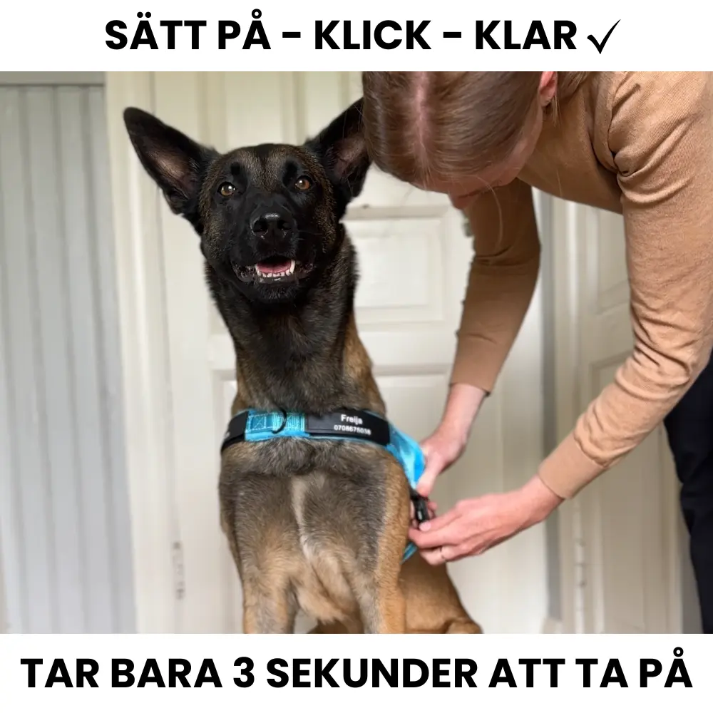 Dog control pro 2.0 med antidrag - Bild 2