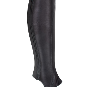 Cavaldressage Chap