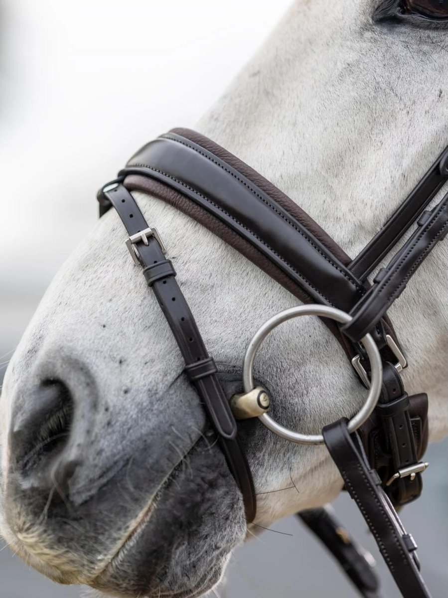 Le Mieux Classic Dressage Bridle Brown - Bild 5