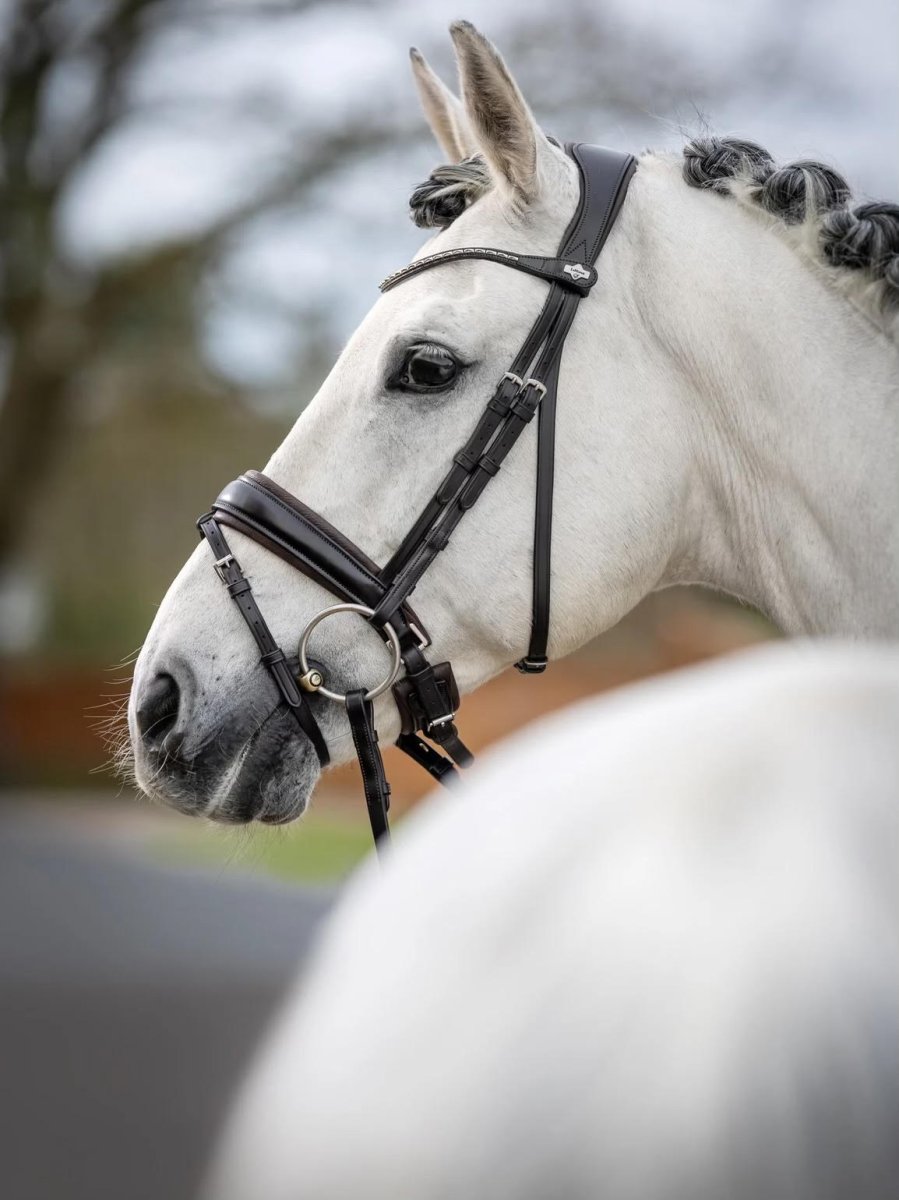Le Mieux Classic Dressage Bridle Brown - Bild 4