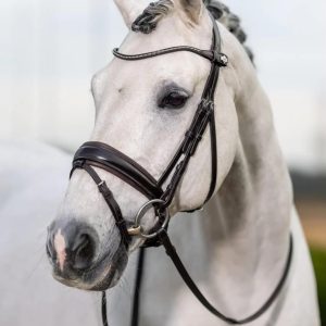 Le Mieux Classic Dressage Bridle Brown