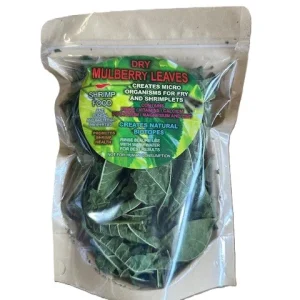 Dry Mulberry Leaves