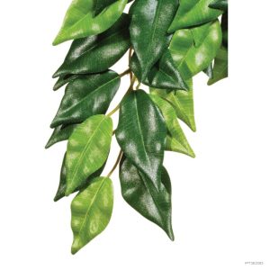 Exo Terra Forest Plant Ficus