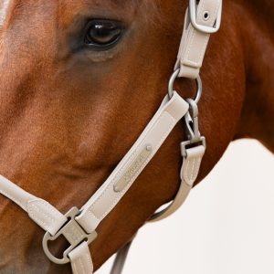 Eskadron Headcollar Leather Double Pin Classic Sports