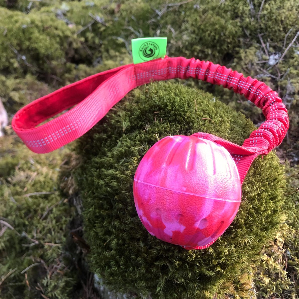 Bungee Foam .18. - Bild 2