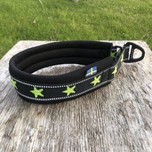 Halsband ”My dog is a star” Neongrön
