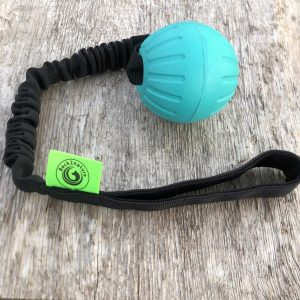 Bungee Foam .20.