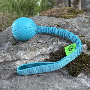 Bungee Foam .17.