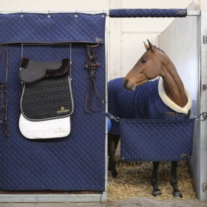 Kentucky Stable guard Boxstopp