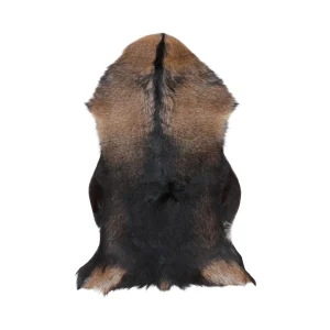 Getskinn | Kort lugg | 90x60 cm