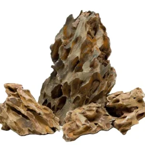 Dragon Stone