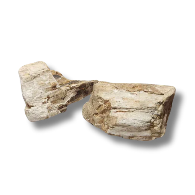 Jurassic Stone - Bild 4