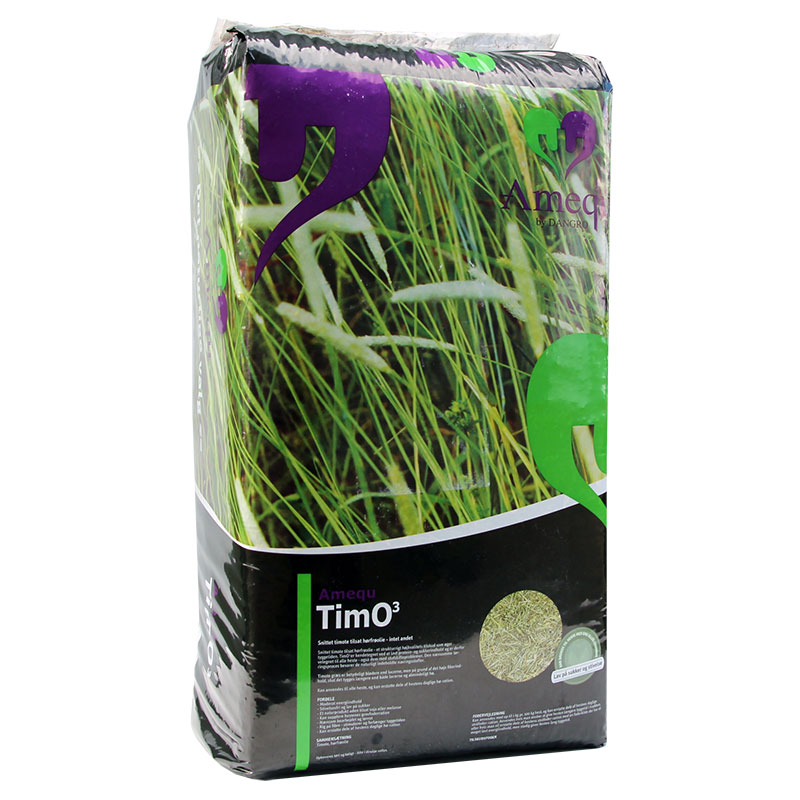 TimO3 Amequ - Bild 2
